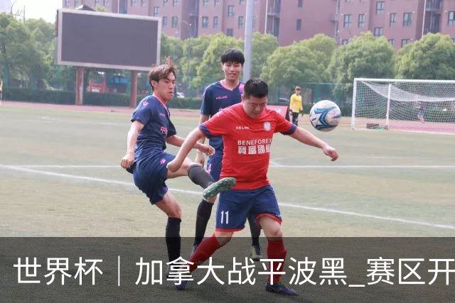 世界杯｜加拿大战平波黑 赛区开幕式表演“翻车”